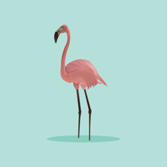 flamingo Bird Vector Art