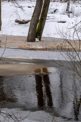 reflection of tree trunks in overflown river wintertime. Snow covered ground. Calm stream of forest river