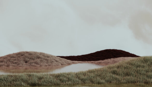 Minimal grass meadow