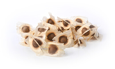 Moringa Oleifera seed dried from Moringa tree on white background