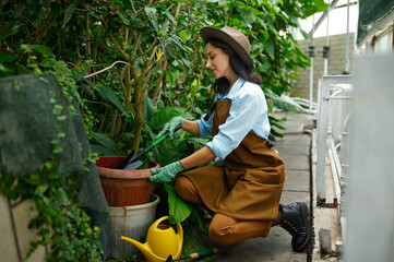 Woman gardener planting flower in pot working at greenhouse