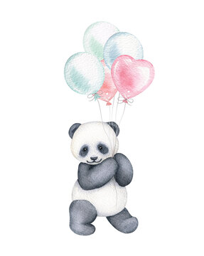 Cute panda with balloons. Watercolor circus illustration isolated on white background. Wild animal. Vintage style. Hand painted drawing for postcards, invitations, scrapbooking