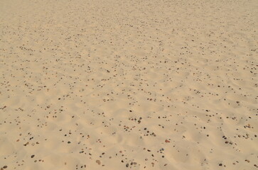 sand background with small stones