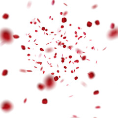 Fototapeta na wymiar Red Roses Petals in transparent background