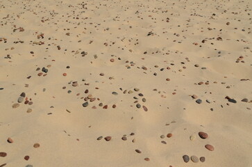 small stones on the Baltic sand 