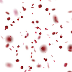 Red Roses Petals in transparent background
