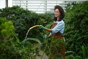 Young woman gardener watering green plants from hose in greenhouse