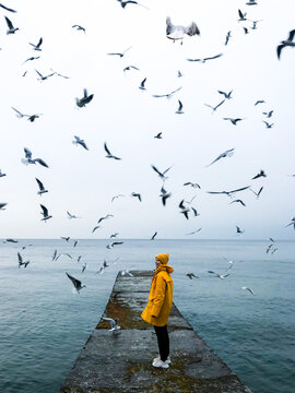 GIrl in yellow raincoat and seagulls