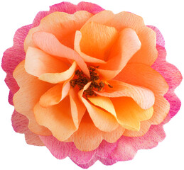 Paper distant drums rose flower handmade from crepe paper