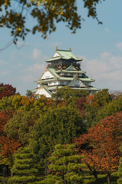 Japanese castle in autumn
