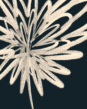 Abstract Botanical Illustration Over A Navy Background
