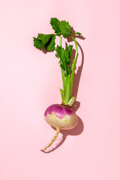 Fresh turnip