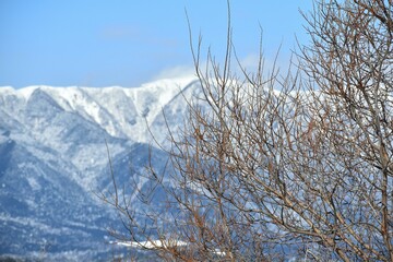 雪が積もった琵琶湖畔と比良山