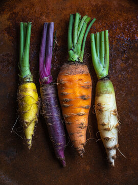 Multi-colored heirloom carrots