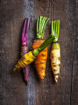 Multi-colored heirloom carrots