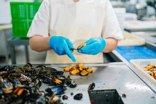 Crop factory worker peeling seafood