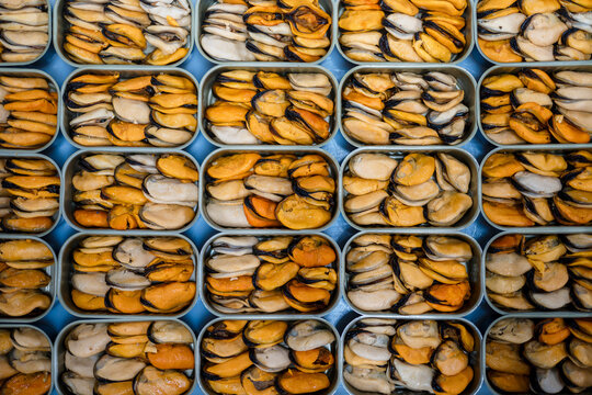 Many cans with fresh mussels