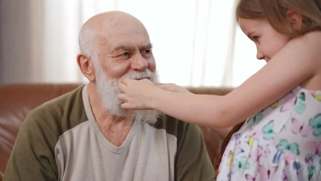 Bearded old man laughing talking with girl adjusting hair curler in long white beard. Positive relaxed Caucasian grandfather enjoying weekend leisure with granddaughter at home indoors
