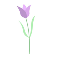 Tulip Element