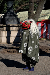 Shishimai (Japanese lion dance) is one of the traditional Japanese performing arts, in which...