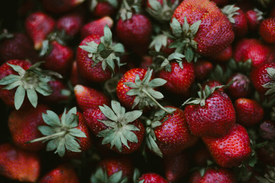 Red fresh organic strawberries.