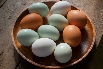  	アローカナの青い卵と白い卵と茶色い卵 - obrazy, fototapety, plakaty