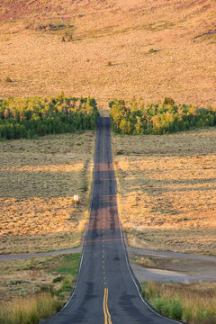 Highway 89 heads off into the distance at sunset high up on Monitor Pass in the Eastern Sierra near Markleeville, CA.