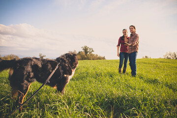 A young couple instruct their Bernese dog to yeild.