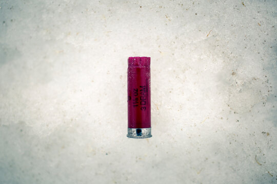 A used shotgun shell sits abandoned in the snow.