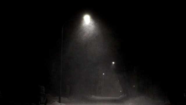 
Hokkaido, Japan - January 24, 2023: Snowstorm illuminated by street lights at 2AM in Numuro, Hokkaido, Japan
