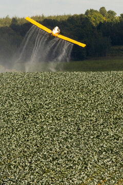 Agriculture in Maine.