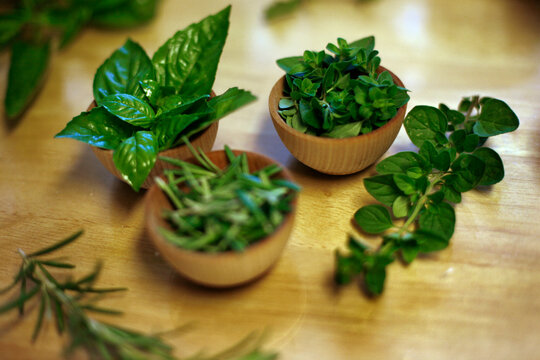 Fresh herbs-- basil, rosemary and oregano-- in the kitchen