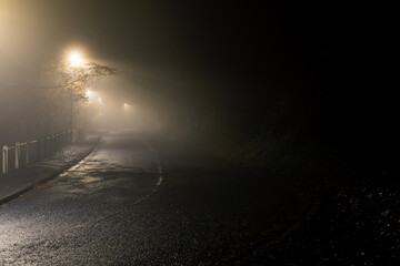 A road through woodland on a foggy night