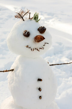 snowman with branches and pines
