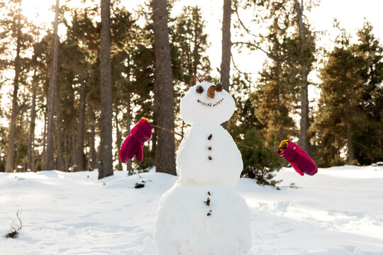 SNOW MAN IN THE FOREST