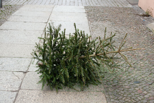 Christmas tree on the street of Berlin