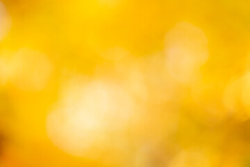 blurred abstract autumn background texture