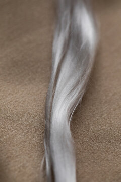 Silk fiber on silk fabric