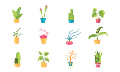 Set of Decorative house plants with pot isolated. interior plant vector, flat icon design Cartoon potted green plants flowers