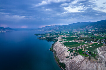 Obraz premium Vineyard with rows of wine grapes Okanagan Valley, fields, lush valley, mountains, desert, British Columbia, Canada