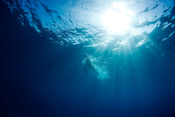 Underwater view of a swimmer enjoying a relaxing swim in the tropical waters off of Mana Island, Fiji.