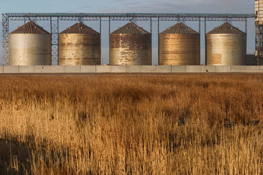 Grain elevators in Kazakhstan