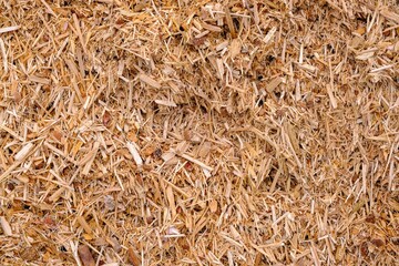 Ecological fuel wood chips used for heating. Actual fuel. A pile of wood chips for a biomass boiler. Close-up of chips, wood chips. For heating small towns