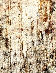 Grungy section of wall ideal for backgrounds