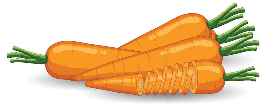 Isolated orange carrot cartoon