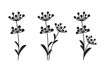 Set of herbal plant elements with seeds