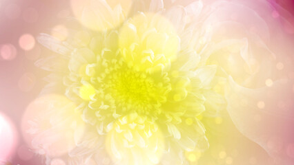 Closeup view of a flower