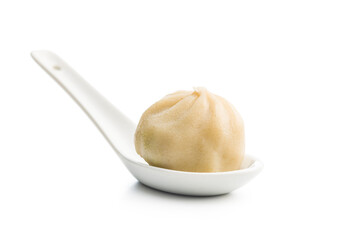 Xiaolongbao, traditional steamed dumplings in spoon. Xiao Long Bao buns isolated on white background.