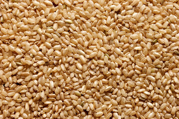 whole rice grain surface - obrazy, fototapety, plakaty