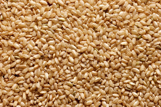 whole rice grain surface